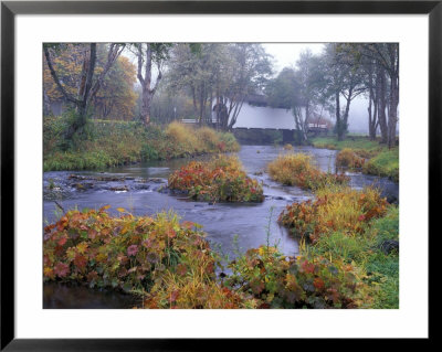 Harris Covered Bridge, Benton County, Oregon, Usa by Janis Miglavs Pricing Limited Edition Print image