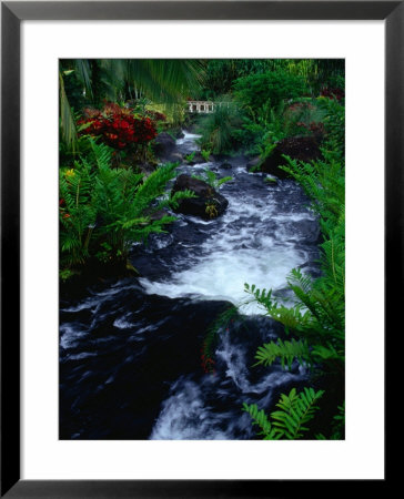 Mineral Waters Flowing Through Tropical Gardens, Arenal Volcano National Park, Costa Rica by Stephen Saks Pricing Limited Edition Print image