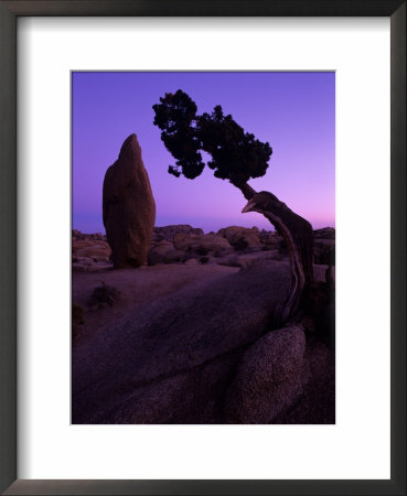 Shapes And Textures In The Mojave Desert, California, Usa by Jerry Ginsberg Pricing Limited Edition Print image