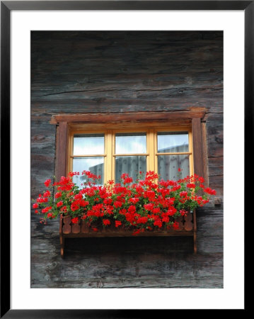Window Box With Flowers, Zermatt, Switzerland by Lisa S. Engelbrecht Pricing Limited Edition Print image