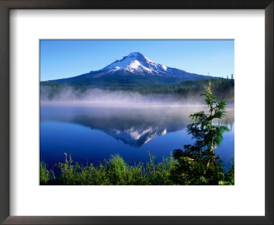 Trilium Lake With Mt. Hood In Background, Mt. Hood, Oregon by John Elk Iii Pricing Limited Edition Print image