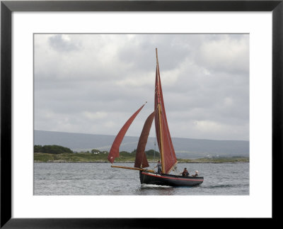 Galway Hookers At Roundstone Regatta, Connemara, County Galway, Connacht, Republic Of Ireland by Gary Cook Pricing Limited Edition Print image