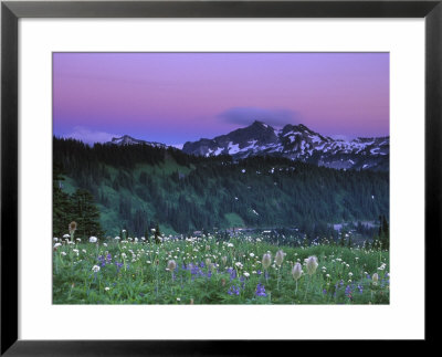 Paradise Twilight, Mt. Rainier National Park, Washington, Usa by Rob Tilley Pricing Limited Edition Print image