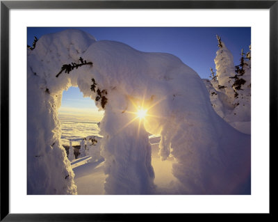 Sunset Thru The Snowghosts, Big Mountain, Whitefish, Montana, Usa by Chuck Haney Pricing Limited Edition Print image