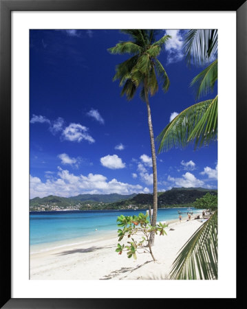Grand Anse Beach, Grenada, Windward Islands, West Indies, Caribbean, Central America by John Miller Pricing Limited Edition Print image