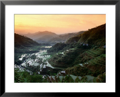 Rice Terraces, Ifugao Province, Luzon, Southern Tagalog, Philippines by John Elk Iii Pricing Limited Edition Print image