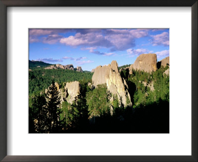 Rock Formations And Pine Forest, Black Hills, South Dakota by Richard Cummins Pricing Limited Edition Print image