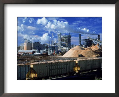Paper Mill And Wood Processing Ptstjoe, Fl by Jeff Greenberg Pricing Limited Edition Print image