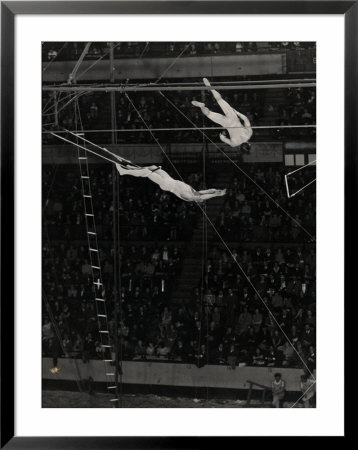 The Flying Concellos Performing With Ringling Brothers Circus At Madison Square Garden by Gjon Mili Pricing Limited Edition Print image