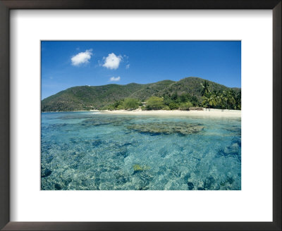 A View Of Coral Reefs And Clear Water Surrounding A Tropical Beach by Raul Touzon Pricing Limited Edition Print image