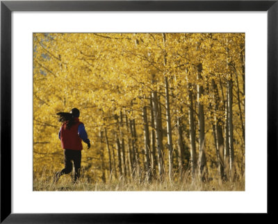 Woman Running In Field By Aspen Trees by Dugald Bremner Pricing Limited Edition Print image