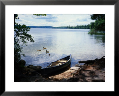 Scene With Ducks And Canoe On Lake Kezar by Robin Siegel Pricing Limited Edition Print image