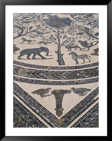 Roman Floor Mosaic, Archaeological Site Of Volubilis, Unesco World Heritage Site, Morocco by R H Productions Pricing Limited Edition Print image