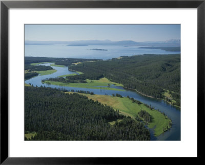 Aerial Of Yellowstone River by Norbert Rosing Pricing Limited Edition Print image