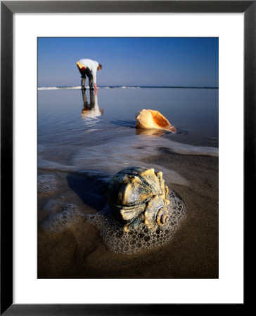 View Of A Beachcomber And Seashells Awash In The Surf by George Grall Pricing Limited Edition Print image