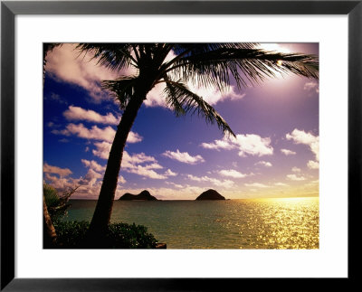 Palm Trees On The Beach At Sunset, Lanikai, U.S.A. by Ann Cecil Pricing Limited Edition Print image