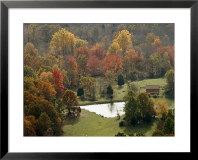 Fall Color Graces A Farm In The Shenandoah Valley by Charles Kogod Pricing Limited Edition Print image