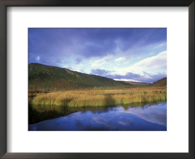 Brilliant Fall Colors And Light On Wonder Lake, Alaska by Rich Reid Pricing Limited Edition Print image