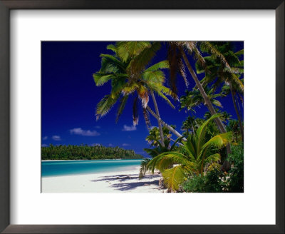 Beach With Palm Trees On Island In Aitutaki Lagoon,Aitutaki,Southern Group, Cook Islands by Dallas Stribley Pricing Limited Edition Print image