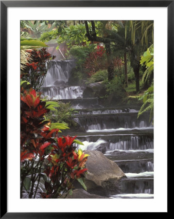Spa And Gardens Of Tabacon Hot Springs, Costa Rica by Michele Westmorland Pricing Limited Edition Print image