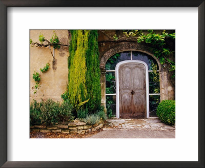 Greenery Surrounding Wooden Door, Provence, France by Tom Haseltine Pricing Limited Edition Print image
