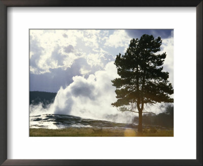 Geothermal Steam From Geyser Vent Between Eruptions, Yellowstone National Park, Usa by Tony Waltham Pricing Limited Edition Print image