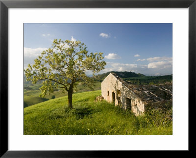 Old Farmhouse, Pergusa, Enna, Sicily, Italy by Walter Bibikow Pricing Limited Edition Print image