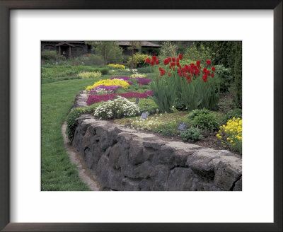 Ferris Perennial Garden, Spokane, Washington, Usa by Jamie & Judy Wild Pricing Limited Edition Print image