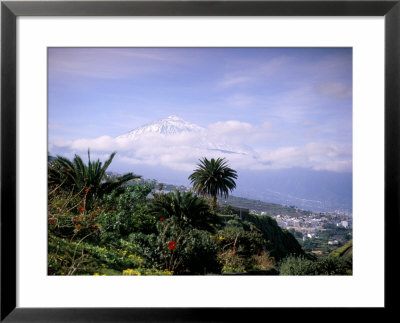 Mount Teide, Tenerife, Canary Islands, Spain, Atlantic by John Miller Pricing Limited Edition Print image