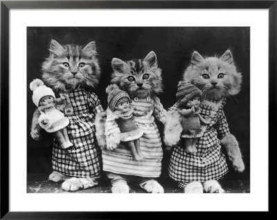 Living Kittens Dressed Up And Carrying Dolls by Harry Whittier Pricing Limited Edition Print image