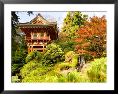 Japanese Tea Garden, Golden Gate Park, San Francisco, California, Usa by Michele Westmorland Pricing Limited Edition Print image