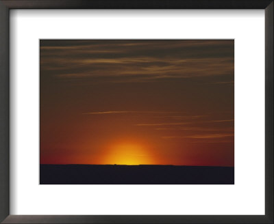 Sunrise In The Desert, Arizona by David Edwards Pricing Limited Edition Print image