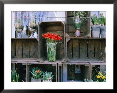 Tulips In Vases Atop Makeshift Wooden Crates by Sisse Brimberg Pricing Limited Edition Print image