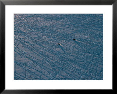 Aerial Of Snowmobiles On A Frozen River Patterned With Tracks by Maria Stenzel Pricing Limited Edition Print image