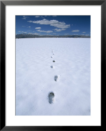 Footsteps In The Snow, Nevada by Bill Hatcher Pricing Limited Edition Print image