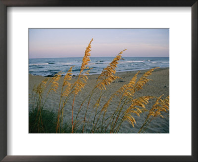 Beach Scene, Atlantic Coast, New Jersey by Steve Winter Pricing Limited Edition Print image