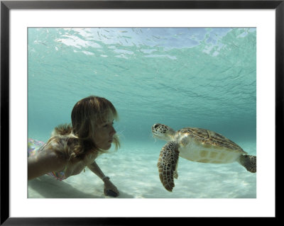 A Young Woman Swimming Face-To-Face With A Green Sea Turtle by Bill Curtsinger Pricing Limited Edition Print image