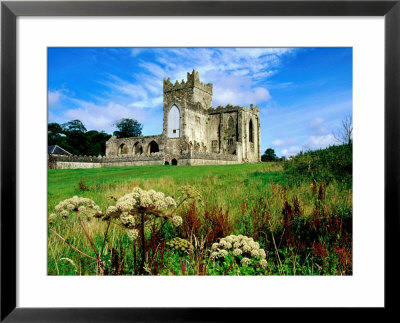 Tintern Abbey Near New Ross, New Ross, Ireland by Richard Cummins Pricing Limited Edition Print image