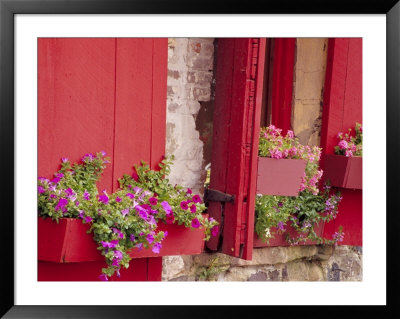 Flower Boxes On Storefronts, Savannah, Georgia, Usa by Julie Eggers Pricing Limited Edition Print image