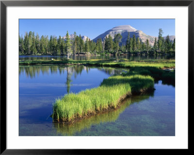 Peninsula, Margo Lake In Ashley National Forest, High Uintas Wilderness, Utah, Usa by Scott T. Smith Pricing Limited Edition Print image