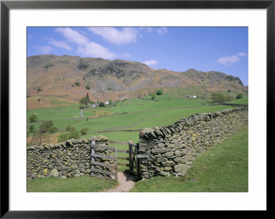 Stone Wall, Fields And Lingmoor Fell, Little Langdale, Lake District, Cumbria, England by Roy Rainford Pricing Limited Edition Print image