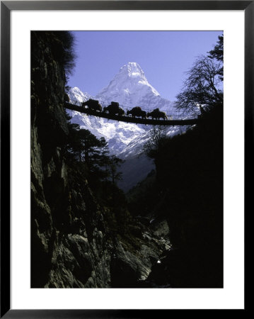 Bridge In Ama Dablam, Nepal by Michael Brown Pricing Limited Edition Print image