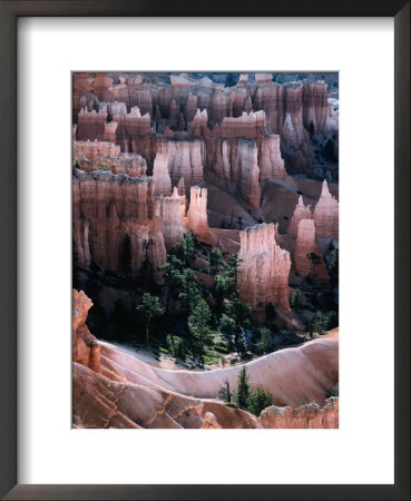 Overhead Of Hoodoo Limestone, Sandstone And Mudstone Formations, Bryce Canyon National Park by Wes Walker Pricing Limited Edition Print image
