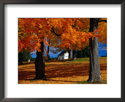 Autumn In Barre, Usa by Izzet Keribar Pricing Limited Edition Print image