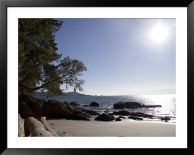 A View Of A Beach In British Columbia by Taylor S. Kennedy Pricing Limited Edition Print image