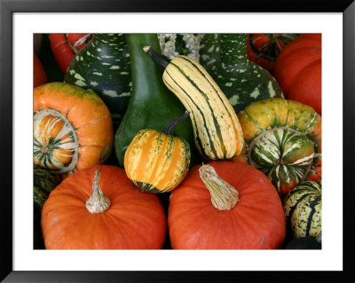 Autumn Colors Abound In This Stack Of Pumpkins And Squash by Stephen St. John Pricing Limited Edition Print image