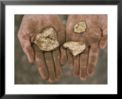 Three Gold Nuggets In A Miner's Hands, Serra Pelada, Amazon River Basin, Brazil by James P. Blair Pricing Limited Edition Print image