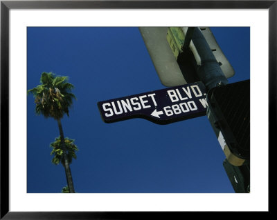 Looking Up At Sunset Boulevard Sign With Palm Tree In Background by Todd Gipstein Pricing Limited Edition Print image