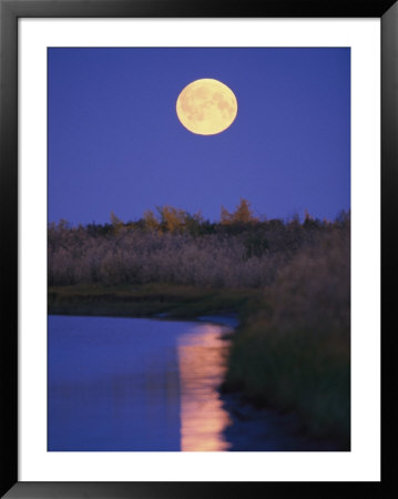 A Full Moon Is Reflected In The Mackenzie River by Raymond Gehman Pricing Limited Edition Print image
