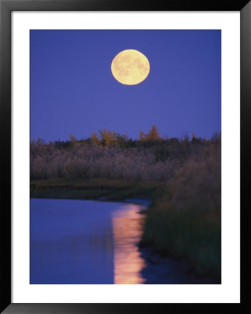 A Full Moon Is Reflected In The Mackenzie River by Raymond Gehman Pricing Limited Edition Print image